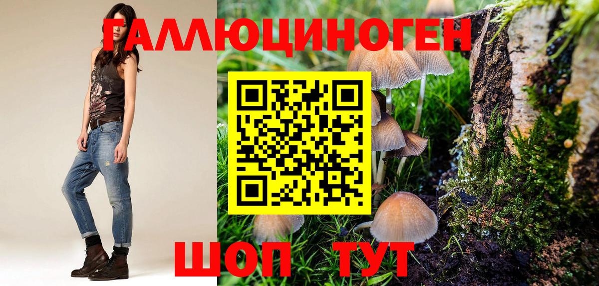 Псилоцибиновые грибы GOLDEN TEACHER Химки
